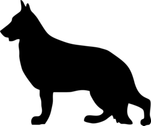 silhouette of a german shephard