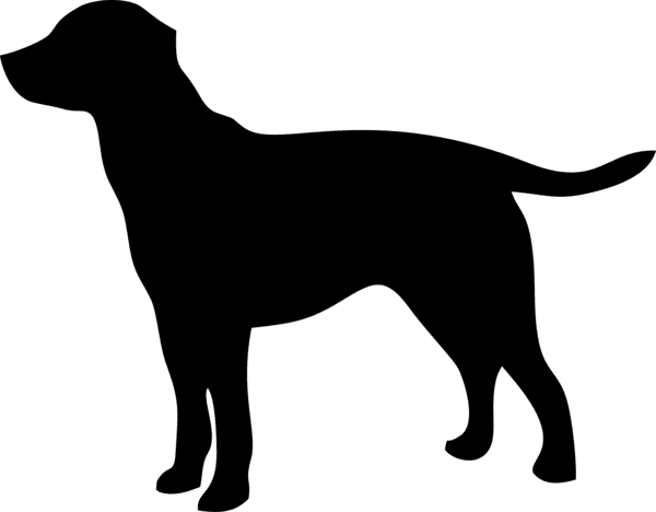 silhouette of a labrador