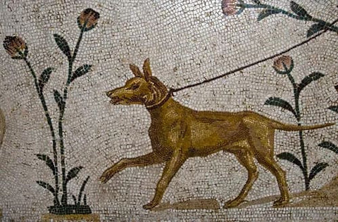 The image is a mosaic of a dog walking on a leash. The dog appears to be a Vizsla, a breed of dog native to the Roman Empire. It is a golden-brown color and is walking on all fours with its front legs stretched out in front of it. The leash is attached to the dog's collar and is looped around its neck. The background of the mosaic is made up of small squares of different sizes and colors, creating a mosaic-like effect.nnOn either side of the dog, there are two plants with long, thin stems and pink flowers. The plants are arranged in a symmetrical pattern, with one plant on the left and one on the right. The flowers are in full bloom, with some petals slightly open and others still in bud form. The overall color scheme of the image is predominantly white, with hints of green and brown.