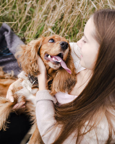 The image shows a young woman sitting in a field with her dog. The woman is wearing a white sweater and has long brown hair. She is holding the dog in her arms and is looking up at the dog with a smile on her face. The dog is a golden retriever with long, curly fur and is licking the woman's face. It appears to be happy and relaxed. The background is filled with tall grass and there is a blanket on the ground next to the woman. The overall mood of the image is peaceful and serene.