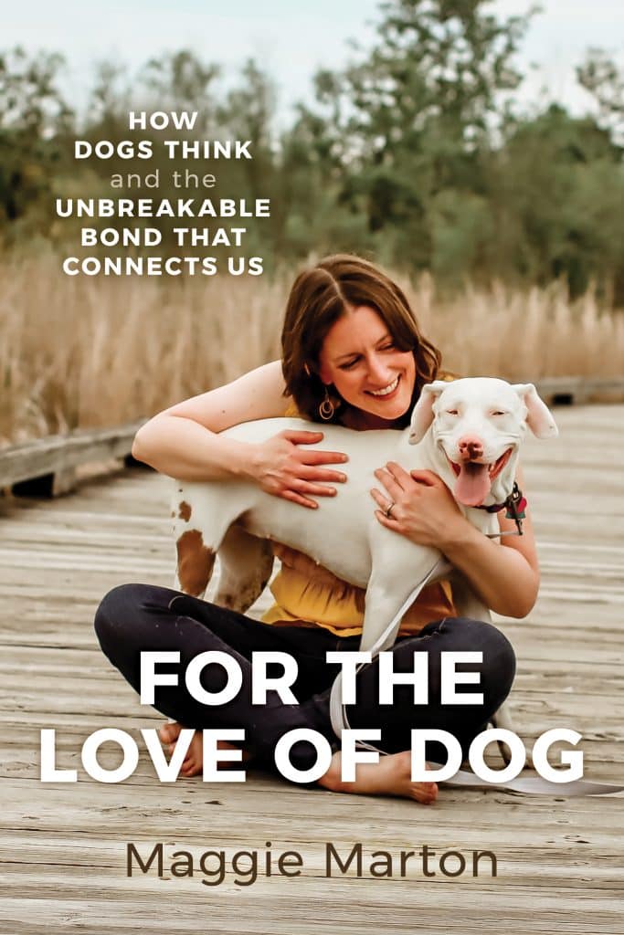 Cover copy of the book FOR THE LOVE OF DOG shows the author, a white woman with brown hair, a yellow blouse, and dark blue jeans, sitting on a boardwalk with her dog, Penny, a white dog with brown speckles on her rear. 