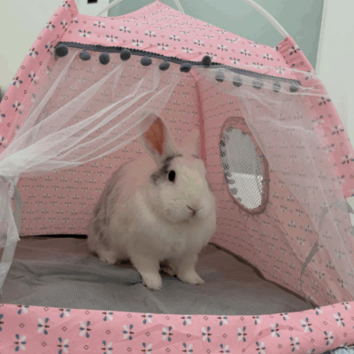 Beth's Blog Cocomelon