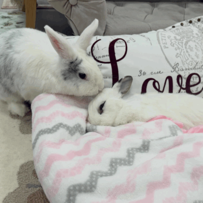 Beth's Blog March 2026