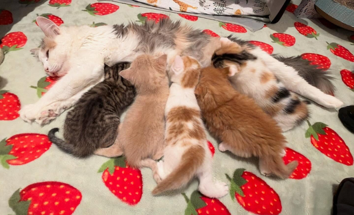 Beth's Blog March 2026