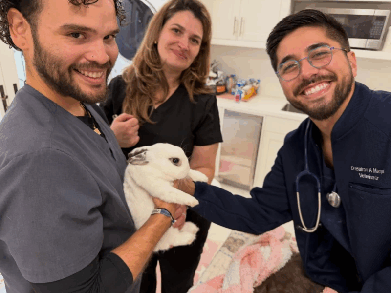 Beth's Blog March 2026