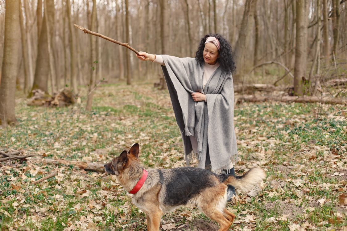 Owner training her dog outdoors with positive reinforcement treats