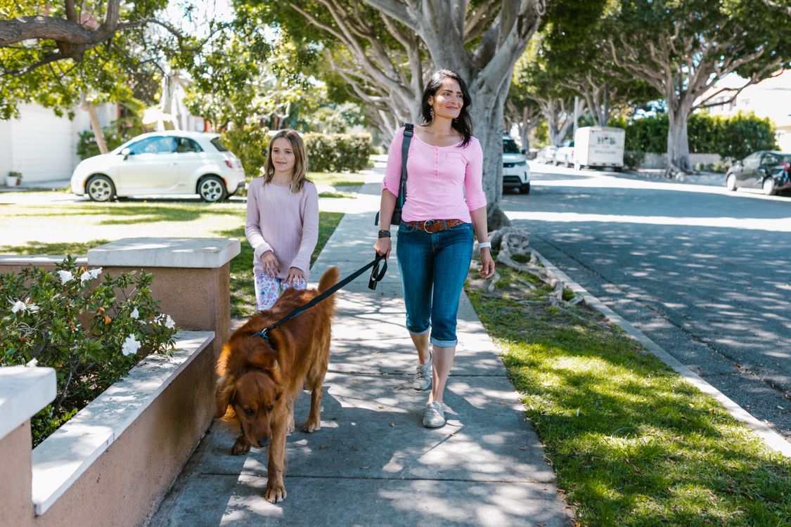 Owner walking a golden retriever on a loose leash down a sunny sidewalk