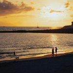 dog standing on the beach with people at sunset