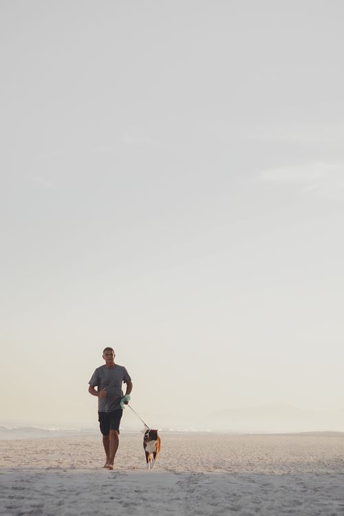 person walking a dog on the shore at the beach
