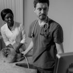 Veterinarian checking a dog with a stethoscope during an exam