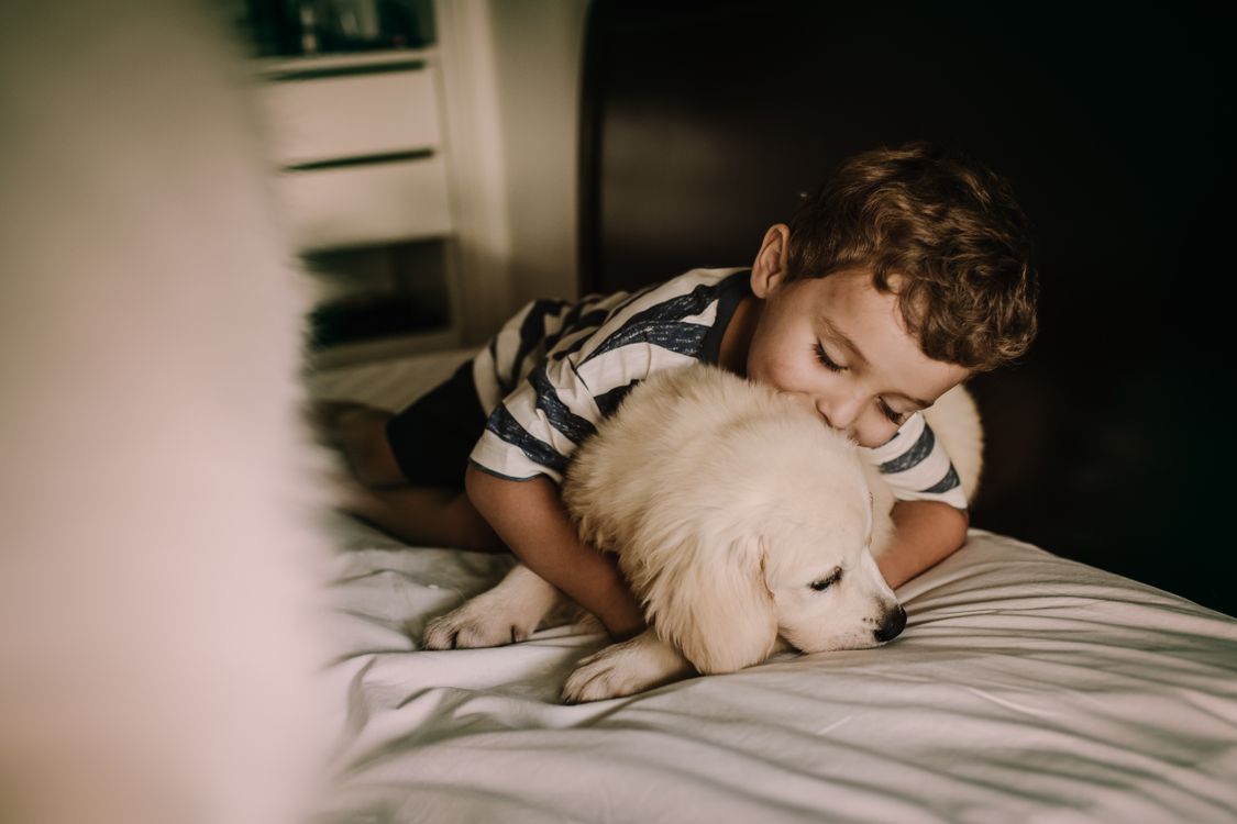 Child hugging a fluffy puppy on a bed in warm light