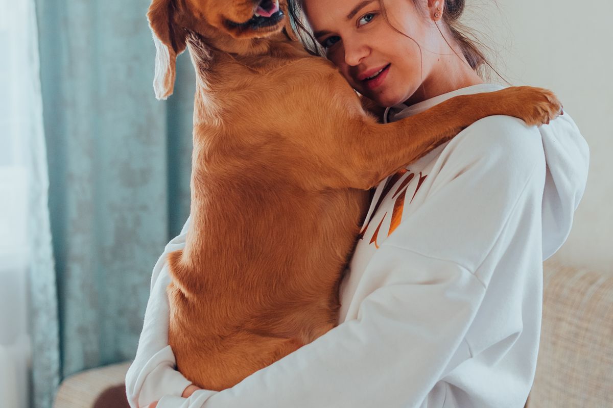 Woman cuddling her labrador retriever at home on a couch