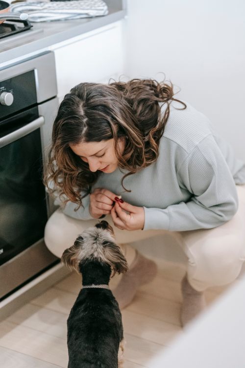 Woman preparing food in a home kitchen while her small dog waits beside her