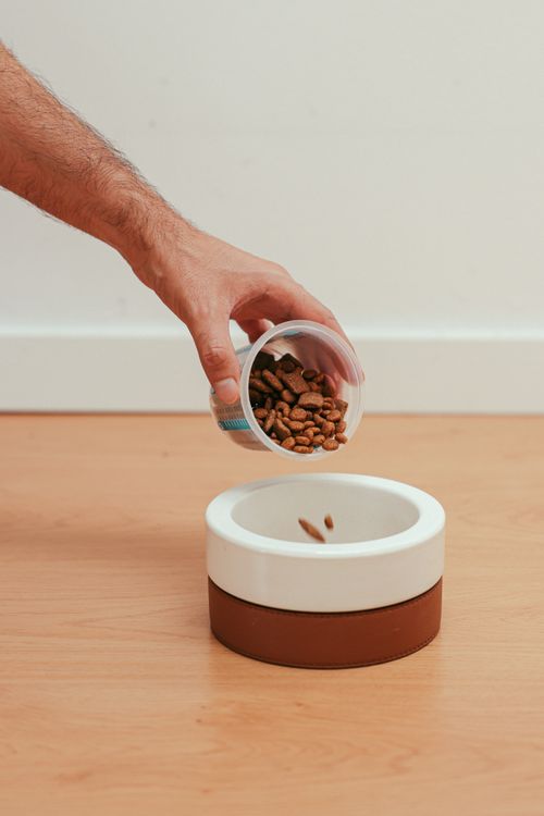hand pouring dry dog food into a stainless steel bowl