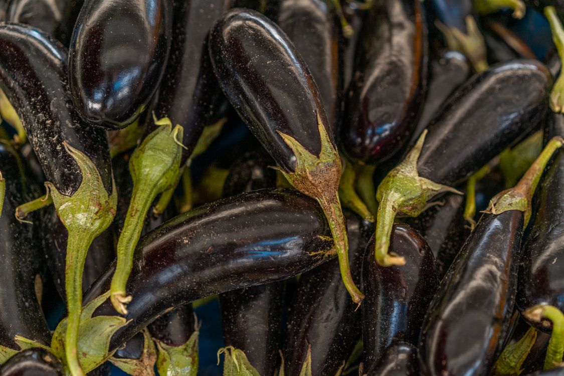pile of fresh purple eggplants
