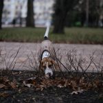 beagle sniffing fallen leaves on the ground