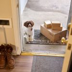 A dog sitting on a doormat beside cardboard delivery boxes left at the front door.