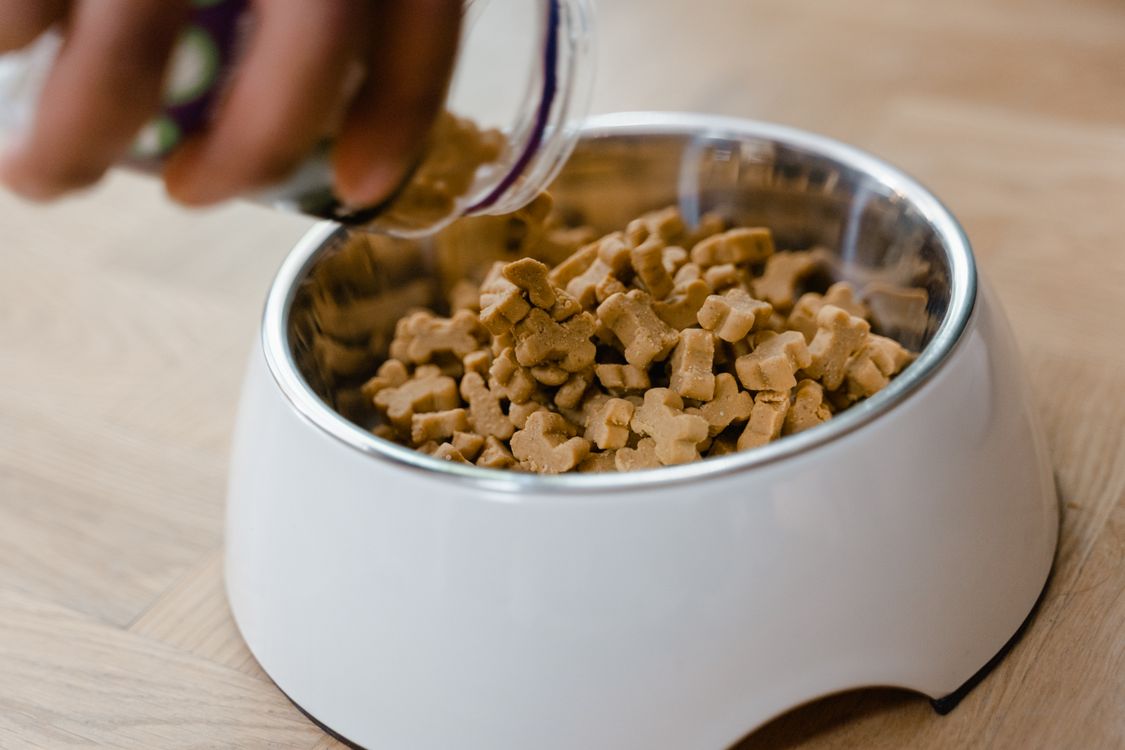 Hand placing dog training treats into a bowl