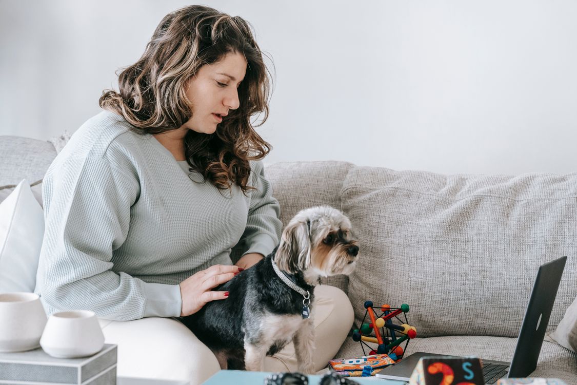 dog watching television next to its owner on the couch