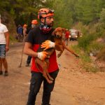 firefighter carrying a dog rescued from a house fire