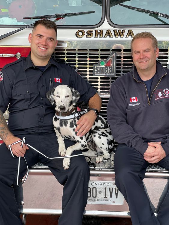 firefighters sitting with a dalmatian beside a fire truck