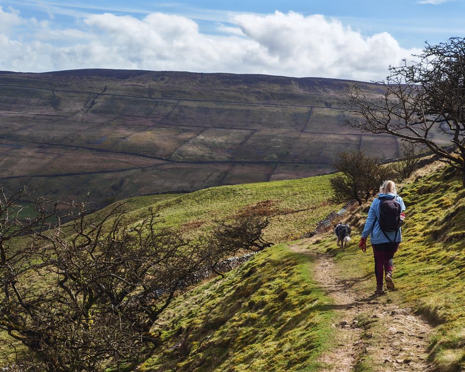 A hiker walking with her dog on a rocky mountain trail