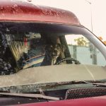 Dog sitting behind the steering wheel of a parked vintage car