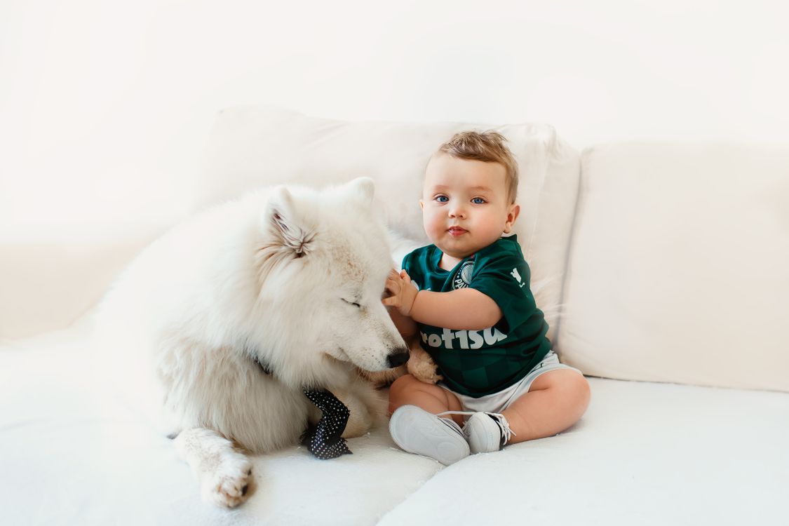 fluffy white Samoyed sitting on a sofa next to a smiling baby boy