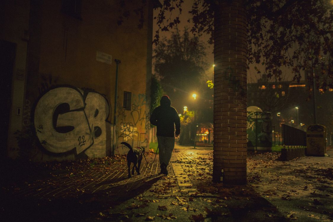 A man walking his dog down a lit city street after dark in autumn