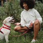 Owner rewarding a Labrador retriever with a treat while teaching a cue in a green park