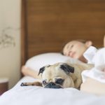 dog and owner cuddling on the bed during morning routine