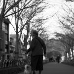 older woman walking her dog along a park path