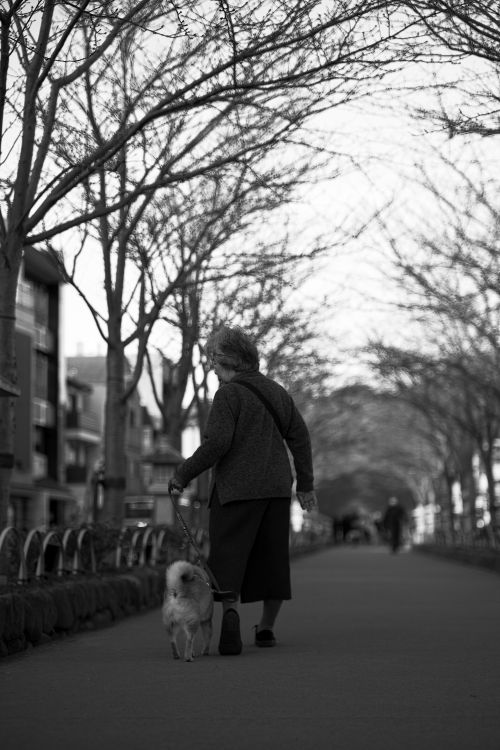 older woman walking her dog along a park path