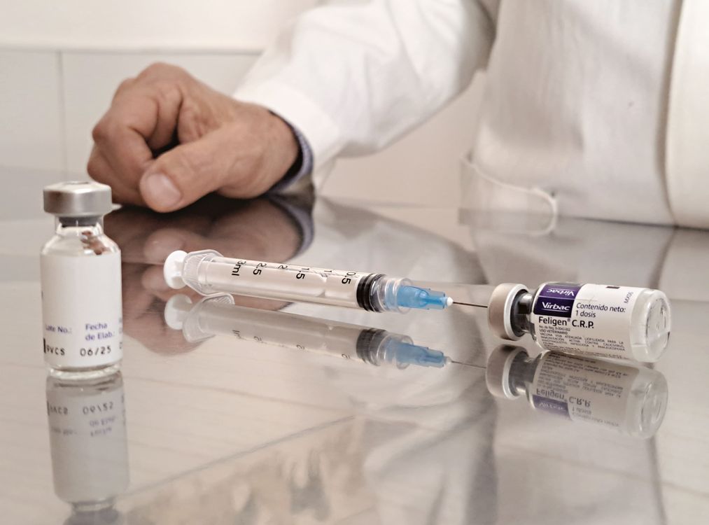 vaccine vials and syringes lined up on a clinic counter