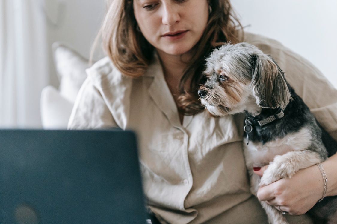 woman working on a laptop at home with a small dog beside her