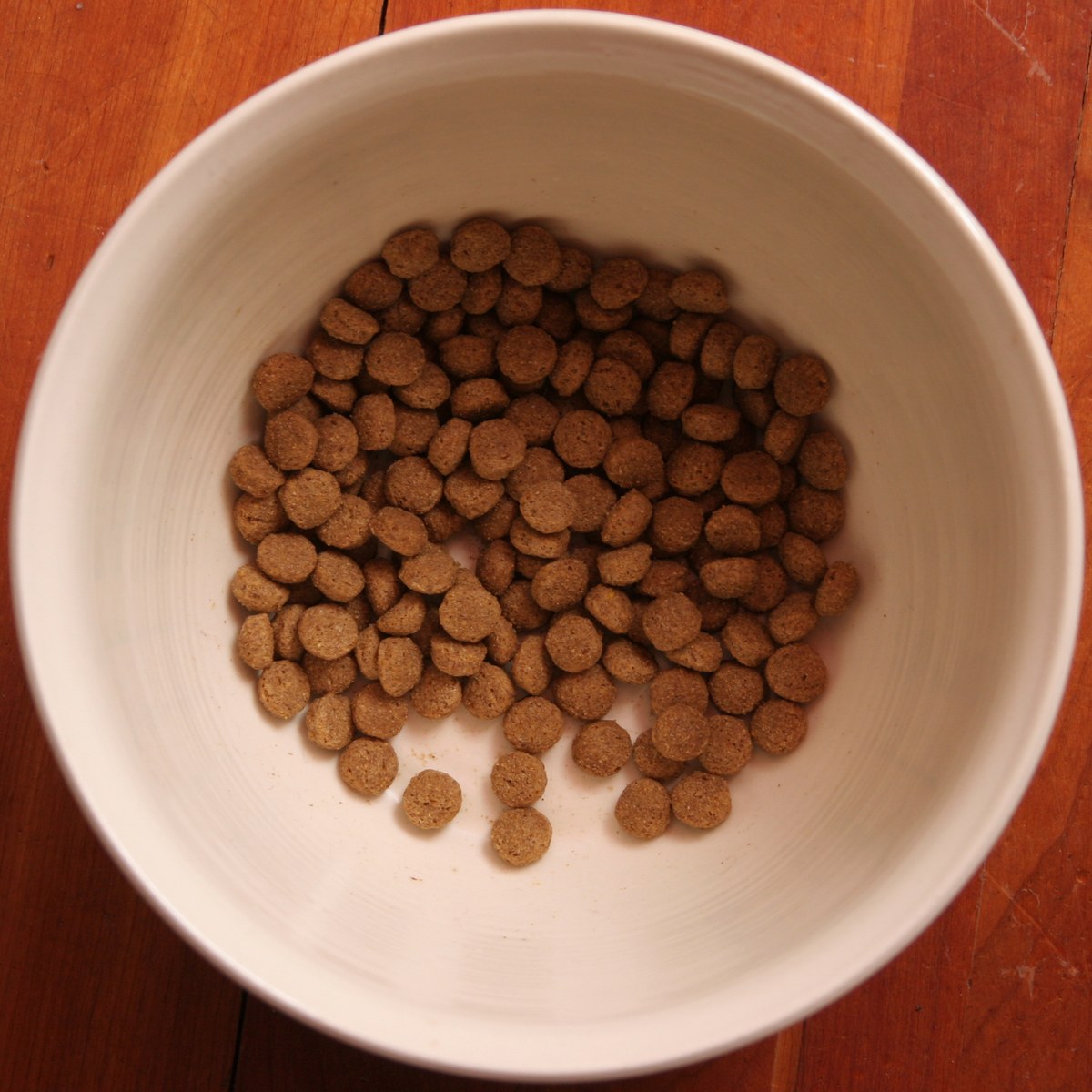 A white ceramic bowl of dry dog food on a wooden floor