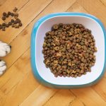 stainless steel dog bowl filled with dog food on a wooden floor
