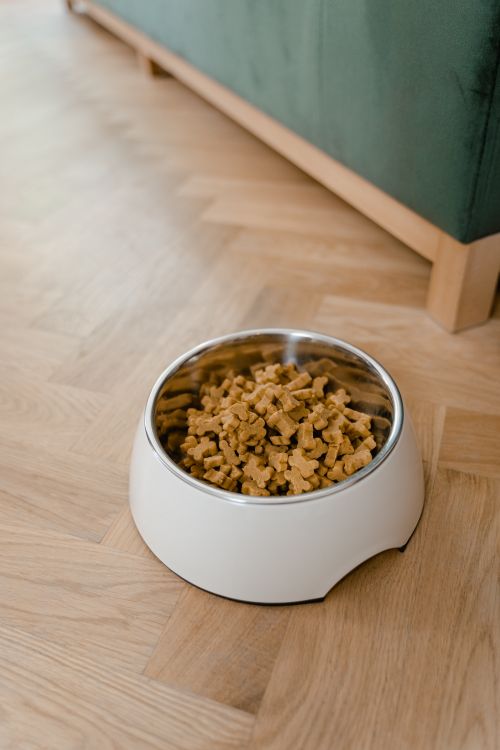 A bowl of dry dog food on a wooden floor