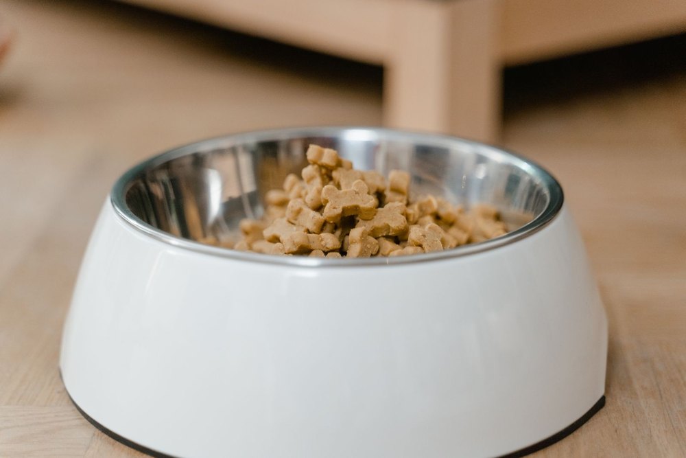 Stainless steel dog bowl filled with dry food on a wooden floor