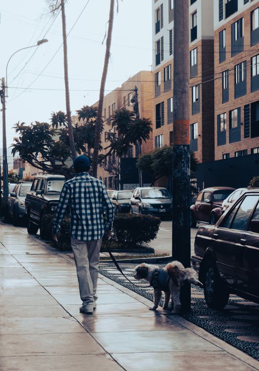 Person walking a dog on a leash along a city sidewalk