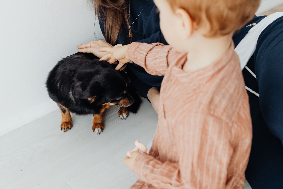 child hugging a black dog indoors