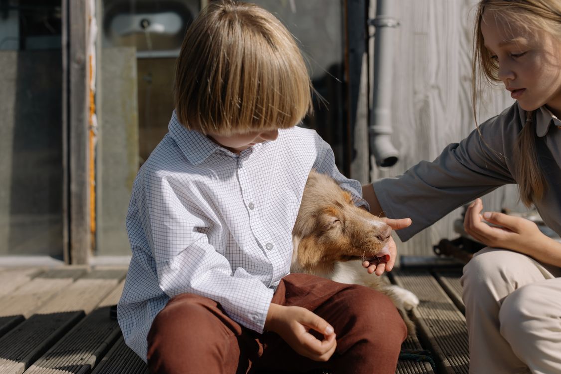 two children playing with a golden retriever in a garden