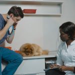 A veterinarian examining a small dog during a clinic checkup